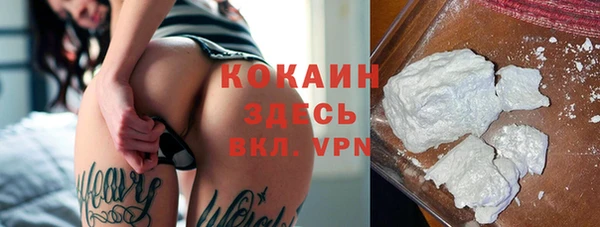 мескалин Богородицк