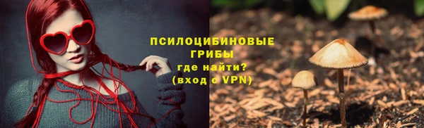 ECSTASY Бронницы