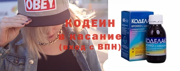 шишки Бородино
