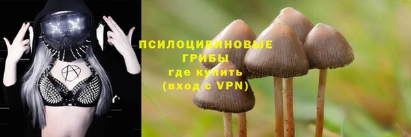 прущий лед Бугульма