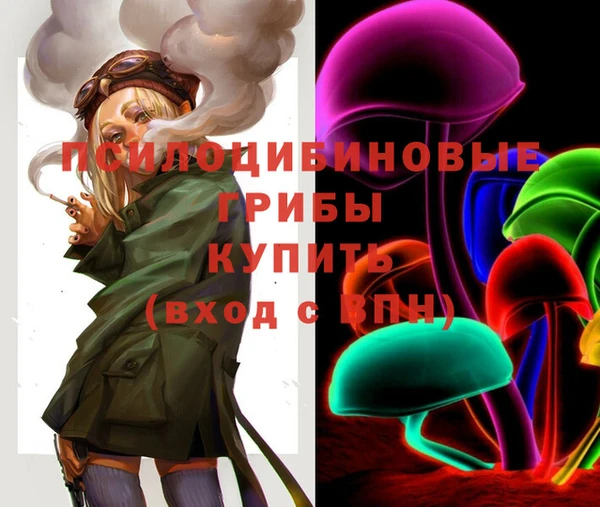 мескалин Богородицк