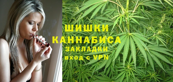 крисы Богданович
