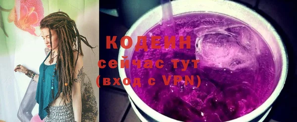 шишки Бородино