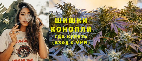 шишки Бородино